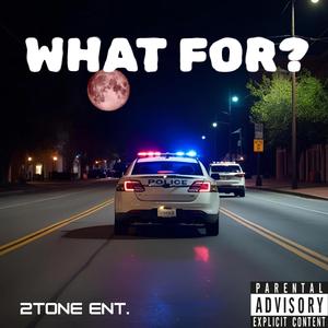 WHAT FOR?