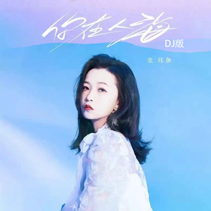 你在人海（DJ版）