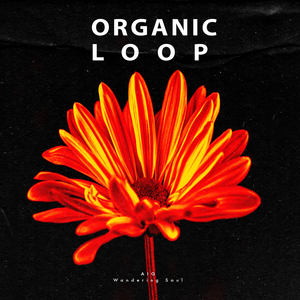 Wandering Soul (Underground Loop Dub Remix)