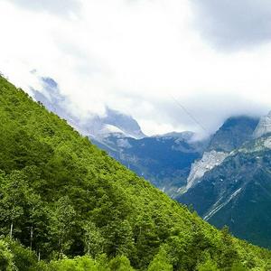 那年我没说出口 你也没为我回头