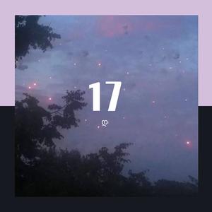 17
