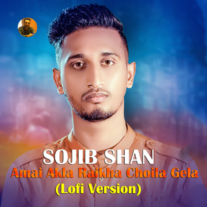 Amai Akla Raikha Choila Gela (Lofi Version)