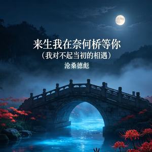 来生我在奈何桥等你（我对不起当初的相遇）