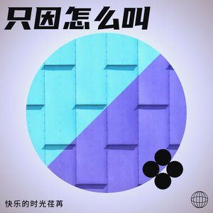 只因怎么叫（ikun）