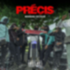 PRECIS