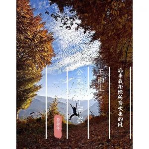 后来我拒绝所有吹来的风