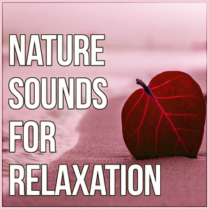 Naturopathy (Ocean Waves)