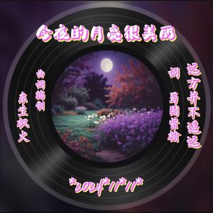 今夜的月亮很美丽