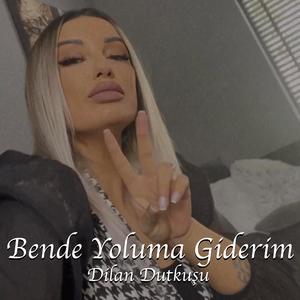 Bende yoluma giderim