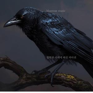 철학과 사색에 빠진 까마귀