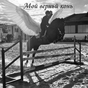 Мой верный конь