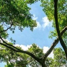 过期罐头里的夏天