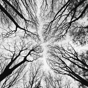 Tauchstation (Too Old Boys Remix)