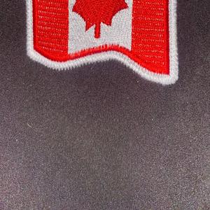 The Canadian family