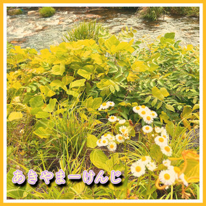 シュガーの誘惑