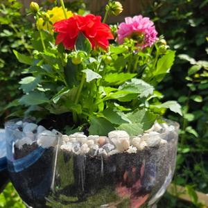 We met again when we were on break from love