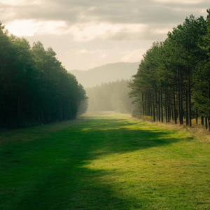 작은 행복에 기대어