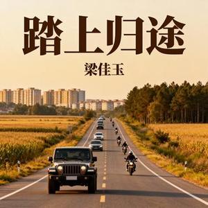 踏上归途