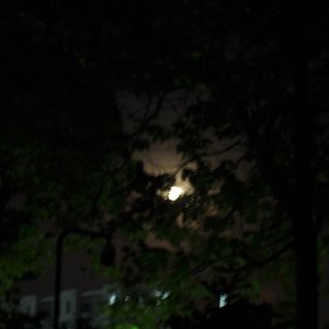 阳光不燥微风正好（翻自 Mc梦柯）