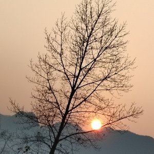 怀念张雪峰老师