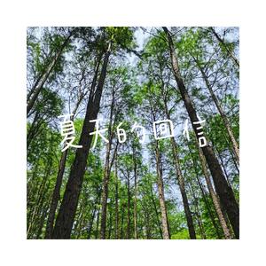夏天的回信（电音版）