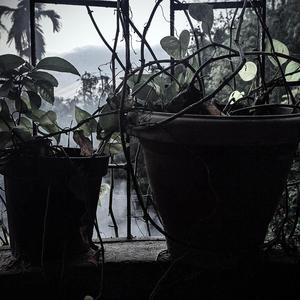 Zero ˹ শূন্য ˼