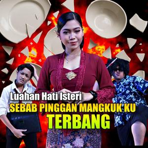 Sebab Pinggan Mangkuk Ku Terbang