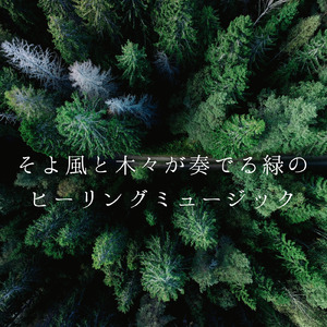 Forest Dreams Calling