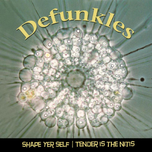 Tender Is The Nitis (Original Mix)