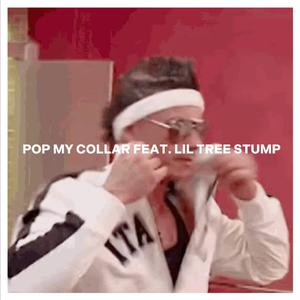 POP MY COLLAR (feat. Lil Tree Stump)