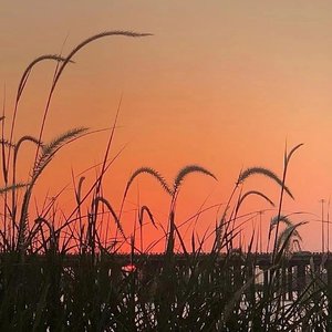 如果爱忘了王贰浪