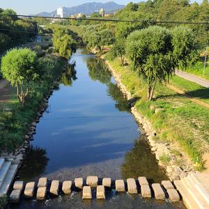 내려 놓기(Letting Go)