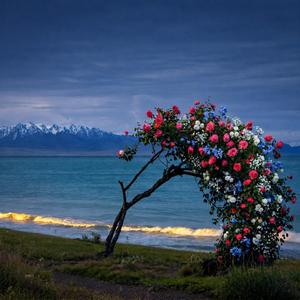 Rüzgarın Adı Sensin