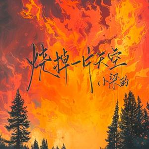 烧掉一片天空-（深情版）