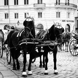 MIneis