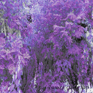 Hippies Use Side Door