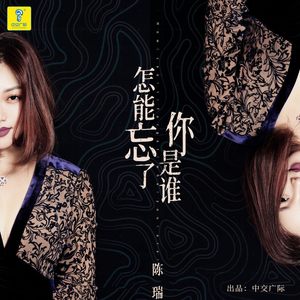 怎能忘了你是谁 (和声伴奏)