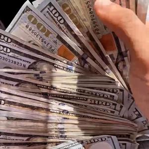 Who Let The Dawgs Out 3