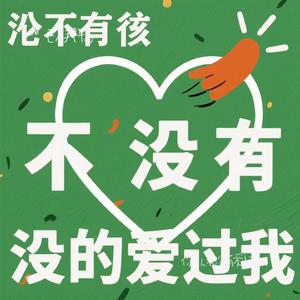 你从来没有爱过我