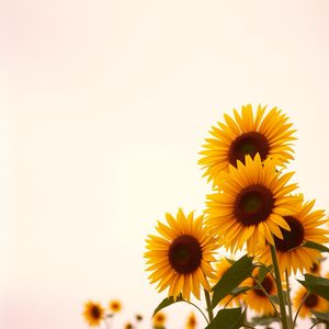 Leetoon 21 (Instrumental)