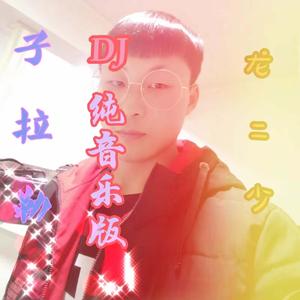 子拉勒(DJ纯音乐版)