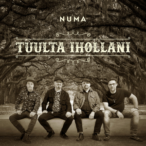 Tuulta Ihollani