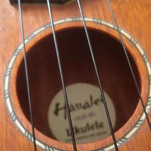 原创歌曲6月20日