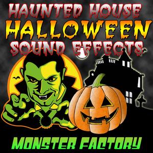 Wild Sound FX Chills