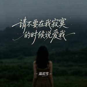 请不要在我寂寞的时候说爱我