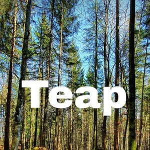 Teapet