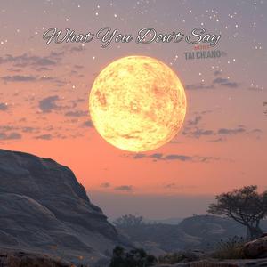 What You Don’t Say