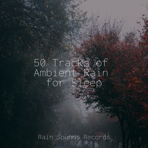 Winter Woods, Rain, Avians