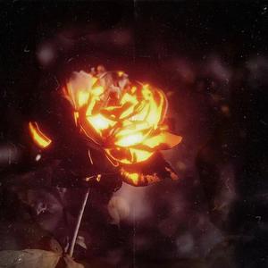 Sin（在我死后，他们开始爱我）