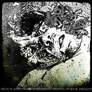 CURB STOMPING YOUR B*****S FACE